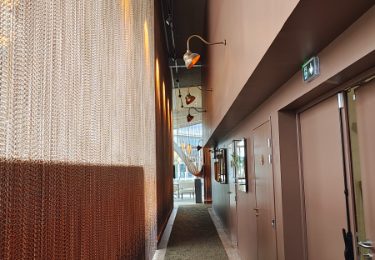 Z&V - Le Rouf - Rouen